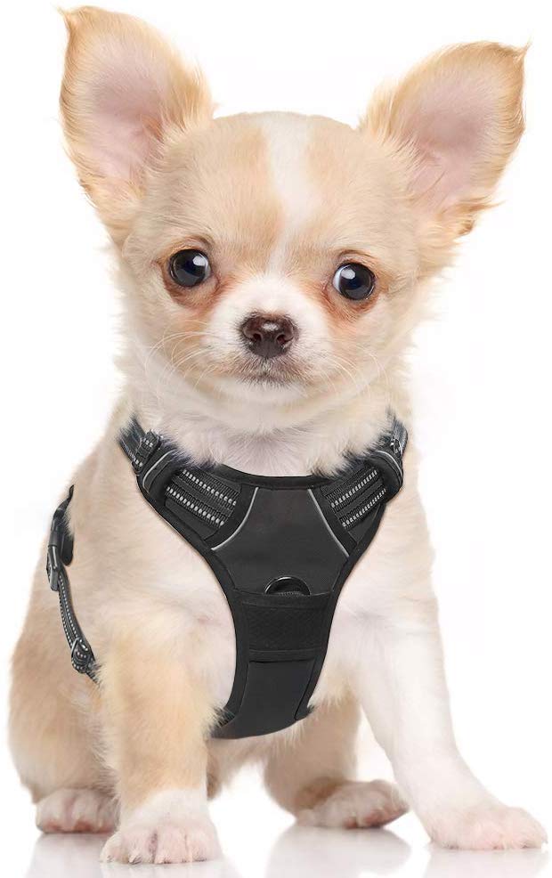 Rabbitgoo Dog Harness